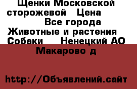 Щенки Московской сторожевой › Цена ­ 35 000 - Все города Животные и растения » Собаки   . Ненецкий АО,Макарово д.